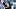 Carolina Panthers linebacker Jaelan Phillips Carolina Panthers linebacker Jaelan Phillips