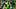 Oregon Ducks Dante Moore Targeting Injury USC Trojans Los Angeles 