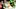 oregon ducks dan lanning college football playoff pressure betting odds dante moore chris hampton drew mehringer 