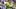 oregon ducks dan lanning linebacker devon jackson speed fall camp college football Matayo Uiagalelei Teitum Tuioti big ten oregon ducks dan lanning linebacker devon jackson speed fall camp college football Matayo Uiagalelei Teitum Tuioti big ten