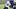 New England Patriots New England Patriots