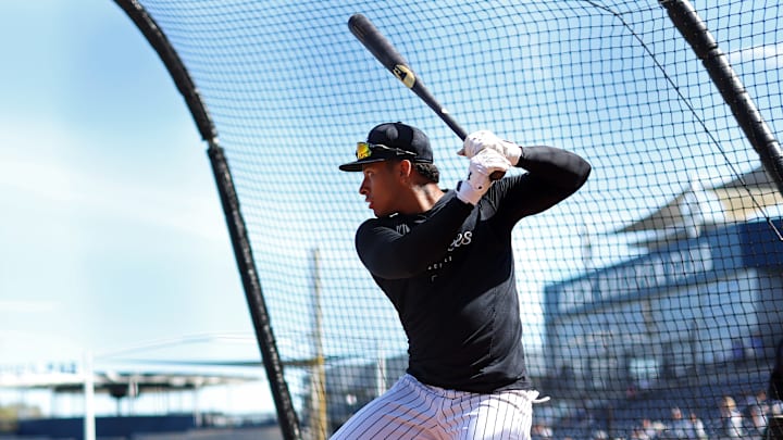 Vivas se entrena con los Yankees en Tampa
