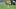 Harry Wilson Leeds United Harry Wilson Leeds United