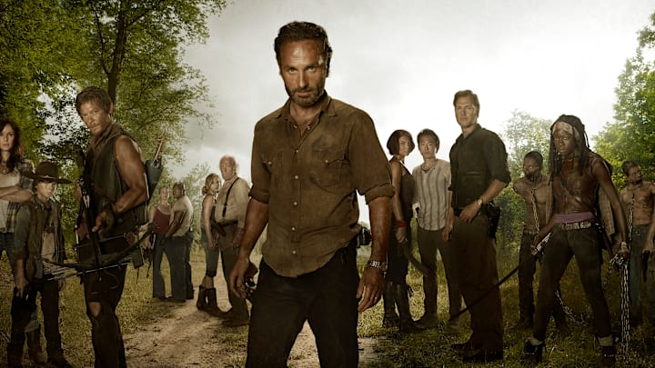 (L to R) Carl Grimes (Chandler Riggs); Daryl Dixon (Norman Reedus); Carol (Melissa Suzanne McBride); T-Dog (Robert 'IronE' Singleton); Beth Greene (Emily Kinney); Hershel Greene (Scott Wilson); Rick Grimes (Andrew Lincoln); Maggie Greene (Lauren Cohan); Glenn (Steven Yeun); The Governor (David Morrissey); and Michonne (Danai Gurira) in The Walking Dead Season 3