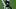 Seattle Seahawks quarterback Sam Darnold drops back to pass against the New England Patriots.