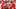 Houston Cougars wide receiver Koby Young 