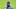 Jadarian Price during the Seahawks' 2026 minicamp. Jadarian Price during the Seahawks' 2026 minicamp.
