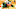 Oregon Ducks Sol Ruca gymnastics wwe wwe raw wwe nxt sol snatcher becky lynch north american championship calyx hampton