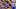 LSU quarterback Sam Leavitt, LA Tech linebacker Zheric Hil LSU quarterback Sam Leavitt, LA Tech linebacker Zheric Hil