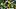 Oregon's defense received high marks from EA Sports in the preseason ratings drop for College Football 27. Oregon's defense received high marks from EA Sports in the preseason ratings drop for College Football 27.