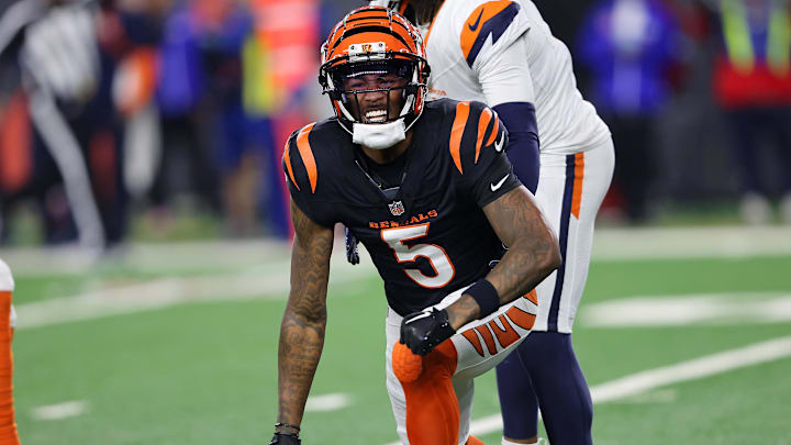 Dec 28, 2024; Cincinnati, Ohio, USA; Cincinnati Bengals wide receiver Tee Higgins (5) reacts after catching a first down pass in overtime against the Denver Broncos at Paycor Stadium. Mandatory Credit: Joseph Maiorana-Imagn Images