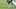 Blake Barnett Colorado Buffaloes Kansas State Wildcats Jeremiah Brown Big 12 College Football Recruiting Deion Sanders 