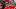 Patrick Mahomes Patrick Mahomes