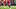 Utah quarterback Devon Dampier Utah quarterback Devon Dampier