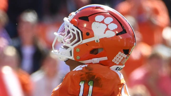 Clemson Tigers defensive tackle Peter Woods