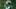 Fantasy Football, New York Jets, Kenyon Sadi Fantasy Football, New York Jets, Kenyon Sadi
