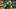 Oregon Ducks College Football Big Ten Dave Iuli Ziyare Addison offensive lineman A'lique Terry Matayo Uiagalelei defense Oregon Ducks College Football Big Ten Dave Iuli Ziyare Addison offensive lineman A'lique Terry Matayo Uiagalelei defense