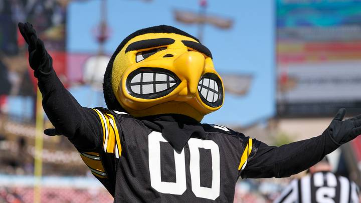 Dec 31, 2025; Tampa, FL, USA; Iowa Hawkeyes mascot Herky the Hawk reacts after a play against the Vanderbilt Commodores in the second quarter during the ReliaQuest Bowl at Raymond James Stadium. Mandatory Credit: Nathan Ray Seebeck-Imagn Images