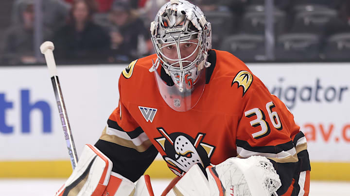 Detroit Red Wings v Anaheim Ducks