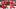 Dan Mullen, UNLV Rebels head football coach Dan Mullen, UNLV Rebels head football coach