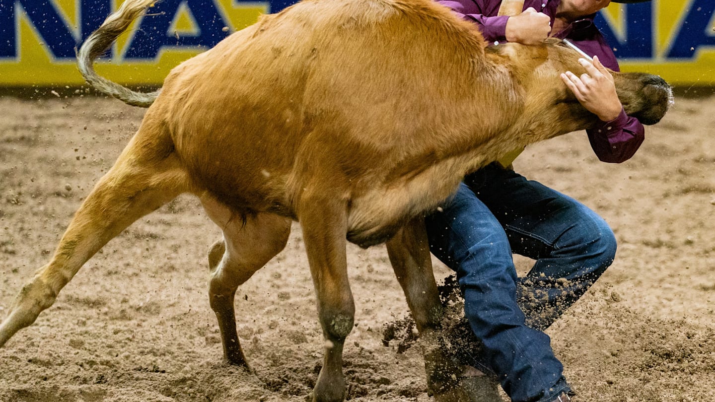 NFR Steer Wrestler Holding Strong Despite Sustaining Knee Injury in Round 1