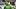 oregon ducks dan lanning recruiting bode sparrow safety chris hampton athlete semanj stanford koi perich aaron flowers