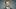 Michigan State athletic director Dan Bartholomae Michigan State athletic director Dan Bartholomae