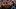 Nov 16, 2024; Boulder, Colorado, USA; Colorado Buffaloes mascot Ralphie is run out onto the field before the game against the Nov 16, 2024; Boulder, Colorado, USA; Colorado Buffaloes mascot Ralphie is run out onto the field before the game against the