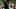 oregon ducks coach dan lanning quarterback dylan raiola dante moore illinois illini big ten bold predictions michael clayton oregon ducks coach dan lanning quarterback dylan raiola dante moore illinois illini big ten bold predictions michael clayton