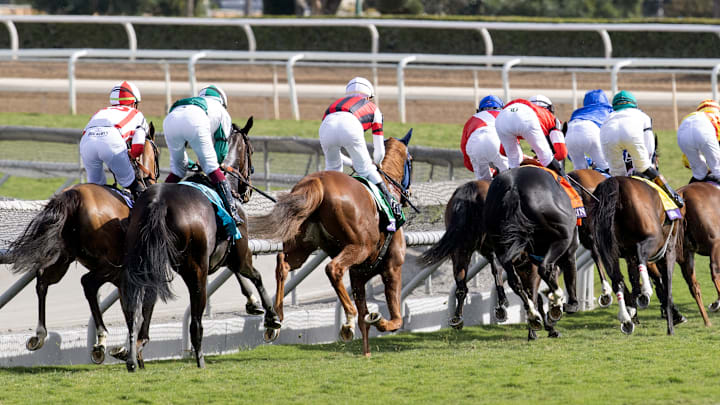 DRF Horse Racing Playbook