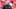 Nebraska coach Matt Rhule has a 19-19 record across three seasons and faces a potentially difficult schedule in 2026. Nebraska coach Matt Rhule has a 19-19 record across three seasons and faces a potentially difficult schedule in 2026.