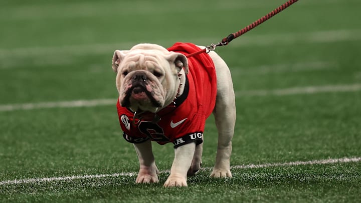 Dec 7, 2024; Atlanta, GA, USA; The Georgia Bulldogs mascot before the 2024 SEC Championship game at Mercedes-Benz Stadium. Mandatory Credit: Brett Davis-Imagn Images