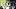 Oregon Dan Lanning Ducks football college football West Coast Big Ten AP Top 25 ranked teams winning percentage coaching