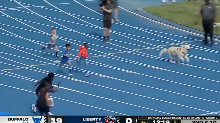 A dog races against children on the track at the 2024 Bahamas Bowl.