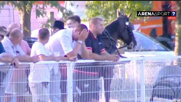 Nikola Jokic was overjoyed after his horse won a race in Serbia on Sunday. 