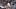 Dallas Cowboys tight end Jake Ferguson catches a 10-yard touchdown pass thrown by quarterback Dak Prescott. Dallas Cowboys tight end Jake Ferguson catches a 10-yard touchdown pass thrown by quarterback Dak Prescott.