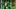 Gavin Nix Oregon Ducks Jerry Mixon Big Ten Conference Portland State Vikings Autzen Stadium College Football Gavin Nix Oregon Ducks Jerry Mixon Big Ten Conference Portland State Vikings Autzen Stadium College Football