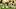 oregon ducks offensive lineman center iapani laloulu poncho coach dan lanning quarterback dante moore dillon gabriel bo nix oregon ducks offensive lineman center iapani laloulu poncho coach dan lanning quarterback dante moore dillon gabriel bo nix