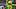 oregon ducks dan lanning dante dakorien moore wide receiver tight end quarterback dylan raiola evan stewart offensive line oregon ducks dan lanning dante dakorien moore wide receiver tight end quarterback dylan raiola evan stewart offensive line