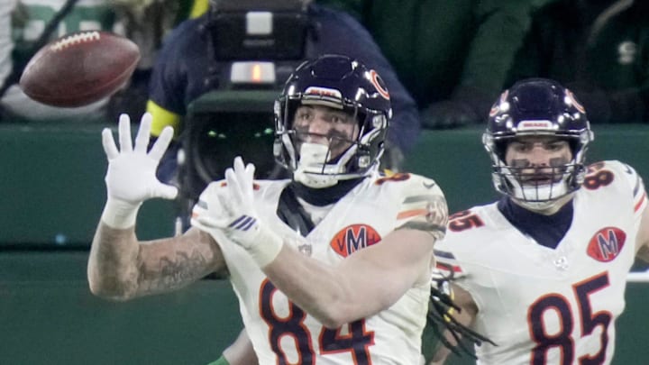 Chicago Bears tight end Colston Loveland (84) faces the Detroit Lions in Week 18.