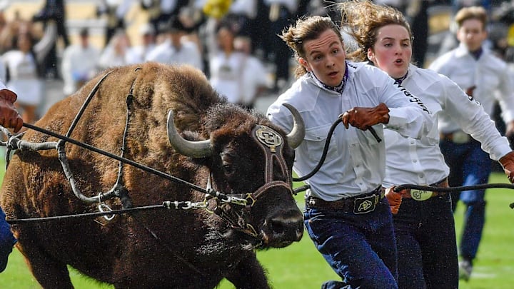 Sep 30, 2023; Boulder, Colorado, USA; Colorado Buffaloes Ralphie VI, the live buffalo mascot runs the field with handlers leading the team out for their game against the USC Trojans at Folsom Field. 