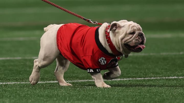Dec 7, 2024; Atlanta, GA, USA; The Georgia Bulldogs mascot before the 2024 SEC Championship game at Mercedes-Benz Stadium. Mandatory Credit: Brett Davis-Imagn Images Dec 7, 2024; Atlanta, GA, USA; The Georgia Bulldogs mascot before the 2024 SEC Championship game at Mercedes-Benz Stadium. Mandatory Credit: Brett Davis-Imagn Images