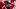 Arkansas Razorbacks linebacker Ja'Quavion Smith during offseason conditioning drills Arkansas Razorbacks linebacker Ja'Quavion Smith during offseason conditioning drills