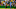 FBL-SUDAMERICANA-DEFENSA-BOTAFOGO