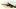 British Military history, Army, Solider shooting gun, Skirmisher of Rifle Brigade, Victorian 19th Century British Military history, Army, Solider shooting gun, Skirmisher of Rifle Brigade, Victorian 19th Century