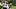 Nov 14, 2025; Eugene, Oregon, USA; Oregon Ducks defensive back Dillon Thieneman (31) and defensive back Jadon Canady (22) tac Nov 14, 2025; Eugene, Oregon, USA; Oregon Ducks defensive back Dillon Thieneman (31) and defensive back Jadon Canady (22) tac