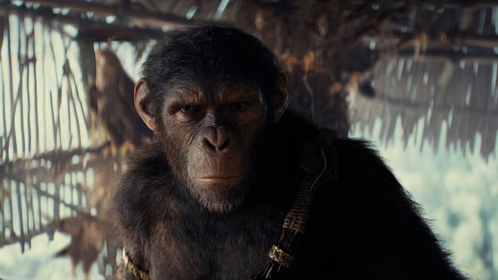 Kingdom of the Planet of the Apes is an adventurous evolution for