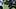 Cowboys WR Marquez Valdes-Scantling goes through a drill during practice at the Ford Center at the Star Training Facility. Cowboys WR Marquez Valdes-Scantling goes through a drill during practice at the Ford Center at the Star Training Facility.
