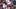 s s