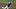 Florida pitcher Liam Peterson has had some of his better performances in recent memory in the Gators' latest outings. Florida pitcher Liam Peterson has had some of his better performances in recent memory in the Gators' latest outings.